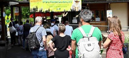 „Leidenschaft für Tiere“: Augsburger Zoo sucht einen neuen Chef