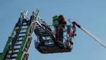Einsatz: Feuerwehr rettet Hausbewohner, Hund und Katzen