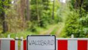 trocken und heiß: waldbrände in der oberpfalz - steigendes risiko