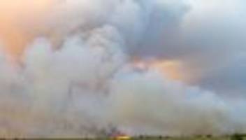 Waldbrand: Feuer in Gohrischheide weiter nicht unter Kontrolle