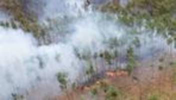 Waldbrand: Kretschmer dankt Helfern für Kraft und Entschlossenheit