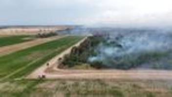 Waldbrand: Löschhubschrauber und Bundeswehrfeuerwehr zur Unterstützung