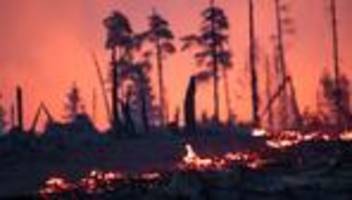 waldbrände: waldbrand auf saalfelder höhe - landkreise warnen vor rauch