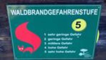Waldbrände: Waldbrandgefahr in Brandenburg gesunken - Ausnahme im Süden