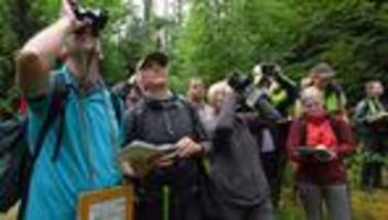 Waldzustand: Thüringer Forstleute trainieren für Waldzustandserhebung