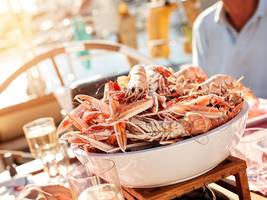 einmal im leben: scampi auf dem kutter pulen