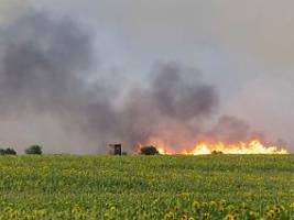 Folgen der Hitze: Waldbrände im Osten halten Feuerwehren auf Trab
