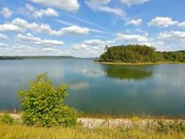 Nach Tötung von Zwei-Meter-Tier: Erneuter Wels-Angriff im Brombachsee - Schwimmer verletzt