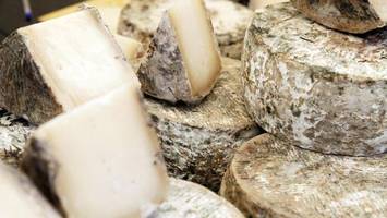 Käse und schlechter Schlaf: Studie zeigt überraschenden Zusammenhang