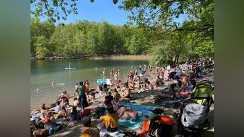 Seen im Grunewald: „Wunder, dass der Wald nicht abgebrannt ist“