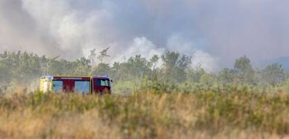 Waldbrände in Deutschland: Feuerwehren kämpfen gegen Ausbreitung