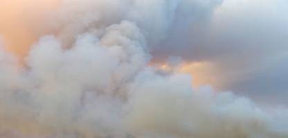 waldbrände in deutschland: in sachsen kämpfen einsatzkräfte gegen feuer