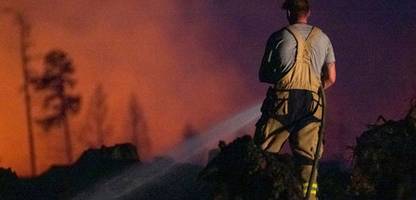 Waldbrände in Europa: Mehr Feuer als im langjährigen Durchschnitt