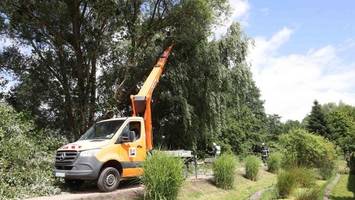 baum stürzt auf hubsteiger: frau aus zwölf metern höhe gerettet