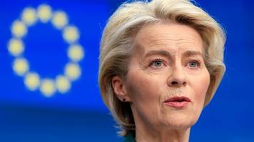 Europaparlament: Das Misstrauensvotum hat seine Gründe