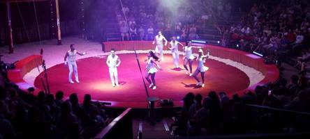 Kaum Zuschauer: Circus Barelli kämpft in Augsburg ums Überleben