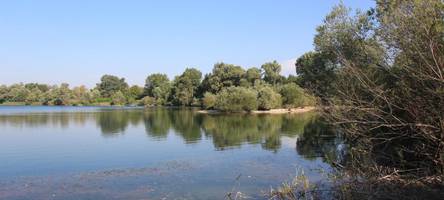 Taucher ziehen 74-Jährigen leblos aus dem Auensee