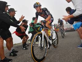 Start der Tour de France: Eine Bergziege unter Bullen