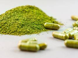gesundheit: gefährlicher pflanzenextrakt: bundesamt warnt vor kratom