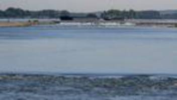 Umwelt: Wasser im Rhein 27 Grad warm - weitere Warnstufe erreicht