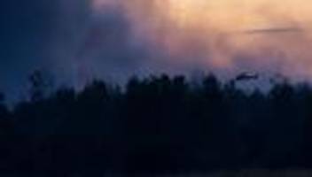Waldbrand: Waldbrand in Gohrischheide weiter außer Kontrolle