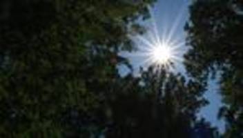 Wetter: Sonnige Aussichten zum Wochenende