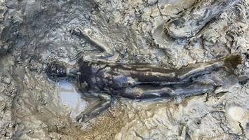 Eine archäologische Sensation ist zu Gast in Berlin