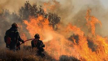 Waldbrände in Europa: Das sind die häufigsten Ursachen