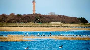 Norderney wird für weitere Stromkabel unterbohrt