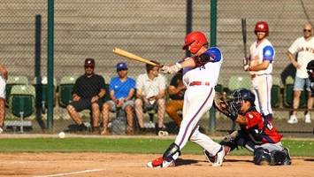 baseball: hamburg stealers am wochenende vor historischem triumph