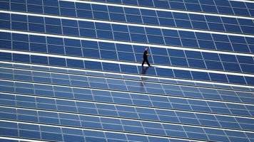 energiewende: photovoltaik sorgt 2024 für rekordwert bei stromeinspeisung