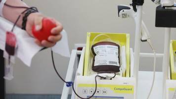 Blut und Plasma spenden: So viel Geld bekommen Sie für die Blutspende