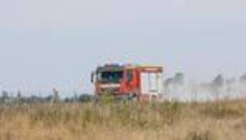 Waldbrand: Waldbrandgefahr hoch in Brandenburg - Lage an Grenze stabil