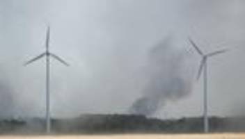 Waldbrand: Wind dreht Richtung Brandenburg - Warnung vor Brandgeruch