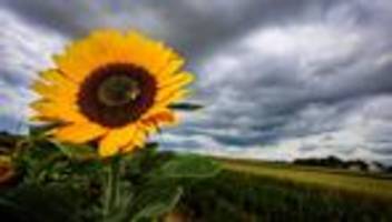 Wetteraussichten: Tief Friedemann sorgt für Abkühlung