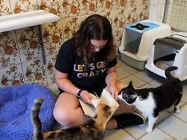 hören besser zu als erwachsene: wenn kinder katzen im tierheim vorlesen