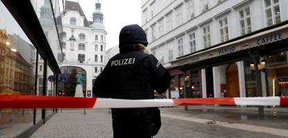 Kriminalität in Wien: Ein Leben zwischen Bandenkriegen und Terror - Podcast