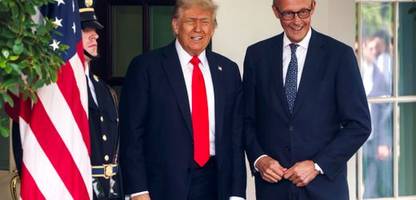 telefongespräch zur ukraine: donald trump lobt friedrich merz als »starken« und »klugen« mann