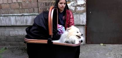 Ukraine-Krieg: Hund rettet Familie vor nächtlichem Angriff in Kyjiw
