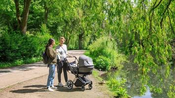 Park am Weiher soll hübscher werden – doch der Gestank bleibt