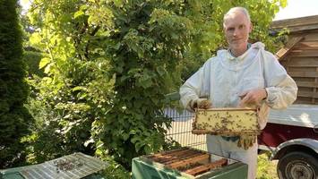 Tierhasser verstopfen Bienenstöcke: 40.000 Tiere ersticken qualvoll