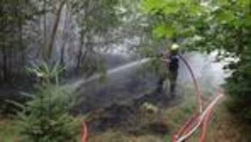 Brände: 6.000 Quadratmeter Stadtwald in Gera brennen
