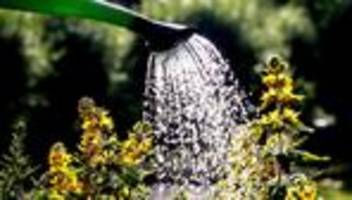 Gartenausstellung: Blick hinter die Gartenpforte: Menschen zeigen ihre Gärten
