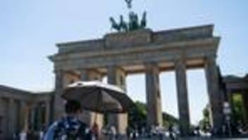 Klimawandel: CDU-Fraktion möchte Wald auf dem Tempelhofer Feld