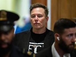 Gesetze, Finanzen, Wähler: Daran könnte Elon Musks America Party scheitern