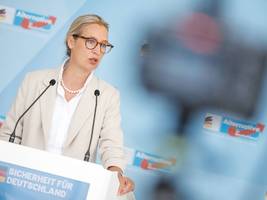 AfD: Die AfD will seriöser werden - und wirft ein besonders umstrittenes Mitglied aus der Partei