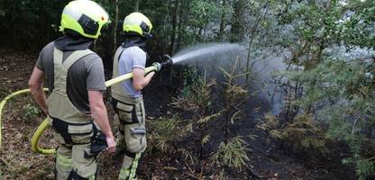 Thüringen: Feuer im Stadtwald von Gera ausgebrochen