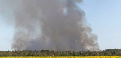 Waldbrände in Ostdeutschland: Feuergeruch bis nach Berlin