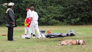 25 Jahre nach Kampfhund-Attacke: Was hat Gesetz gebracht?
