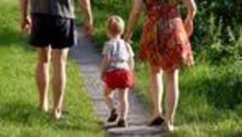 statistisches bundesamt: rund jeder dritte vater erhält den elterngeld-höchstbetrag